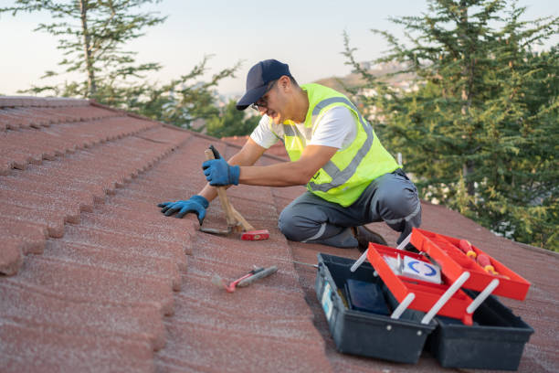Best Gutter Installation and Roofing  in Camp Wood, TX